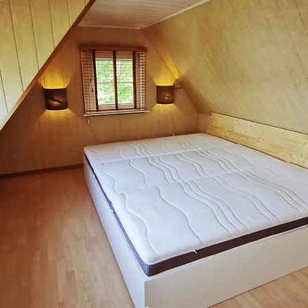 Seewaldmeer Am Pinnower Bei Schwerin *